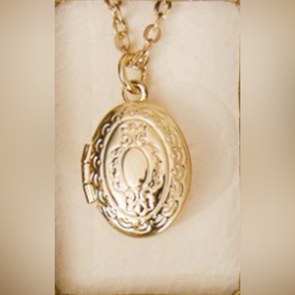 Altard State Gold Necklace With Oval Brooch 18$